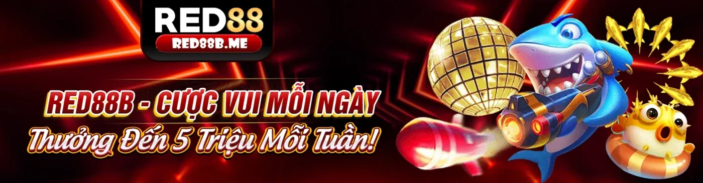 Đá gà Thomo hôm nay - Cá cược thể thao trực tuyến